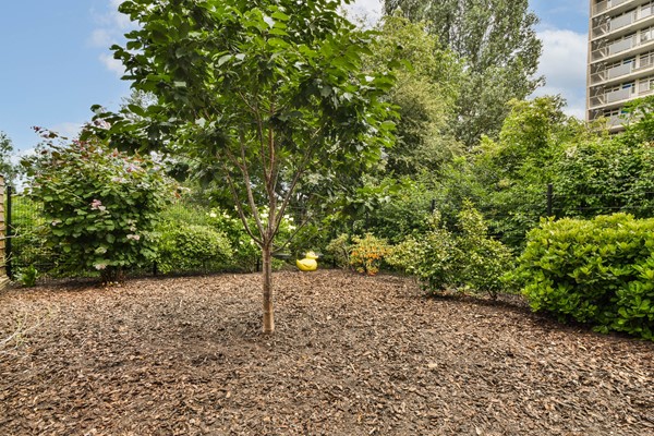 Medium property photo - Camera Obscuralaan 228, 1183 KE Amstelveen